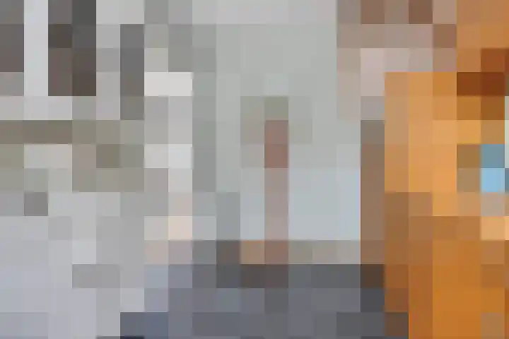 Peperstraat 20 Eindhoven thumbnail 14