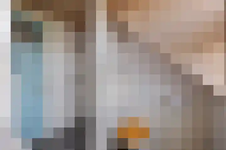 Peperstraat 20 Eindhoven thumbnail 22