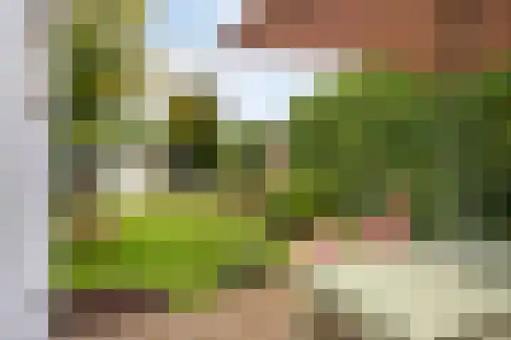 Peperstraat 20 Eindhoven thumbnail 28
