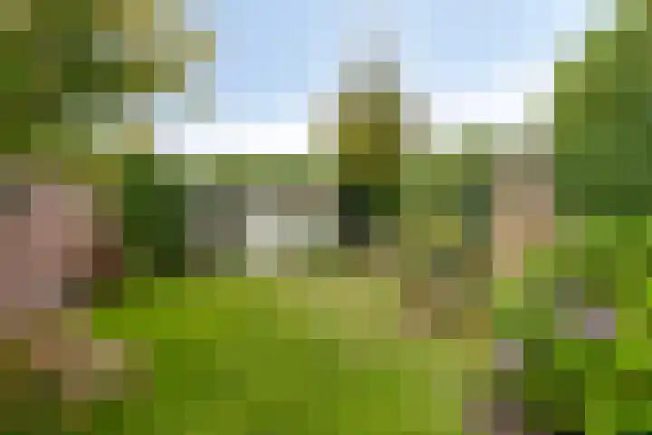 Peperstraat 20 Eindhoven thumbnail 30