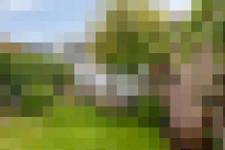 Peperstraat 20 Eindhoven thumbnail 35