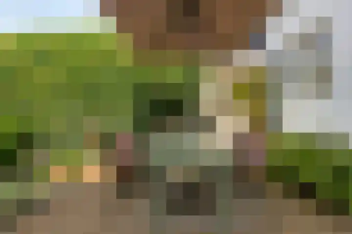 Peperstraat 20 Eindhoven thumbnail 36