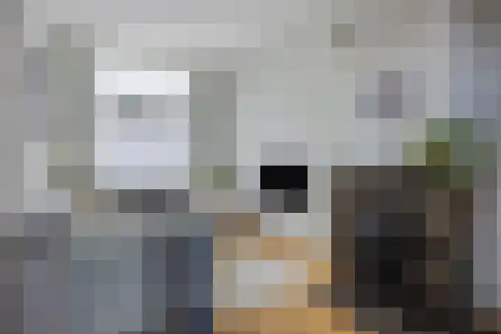 Peperstraat 20 Eindhoven thumbnail 4