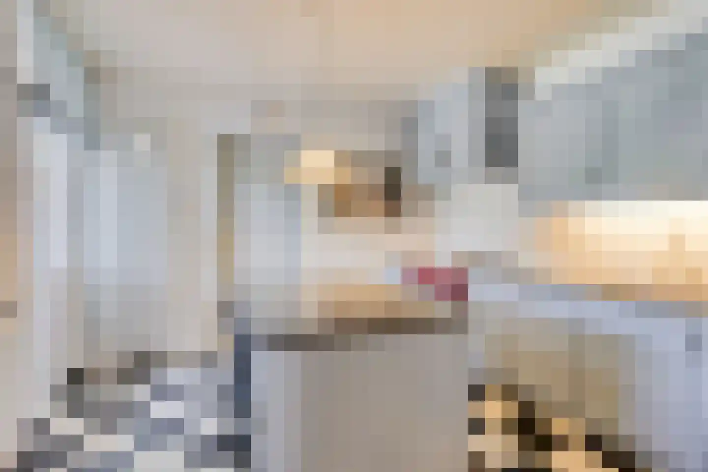 Peperstraat 20 Sevenum thumbnail 15