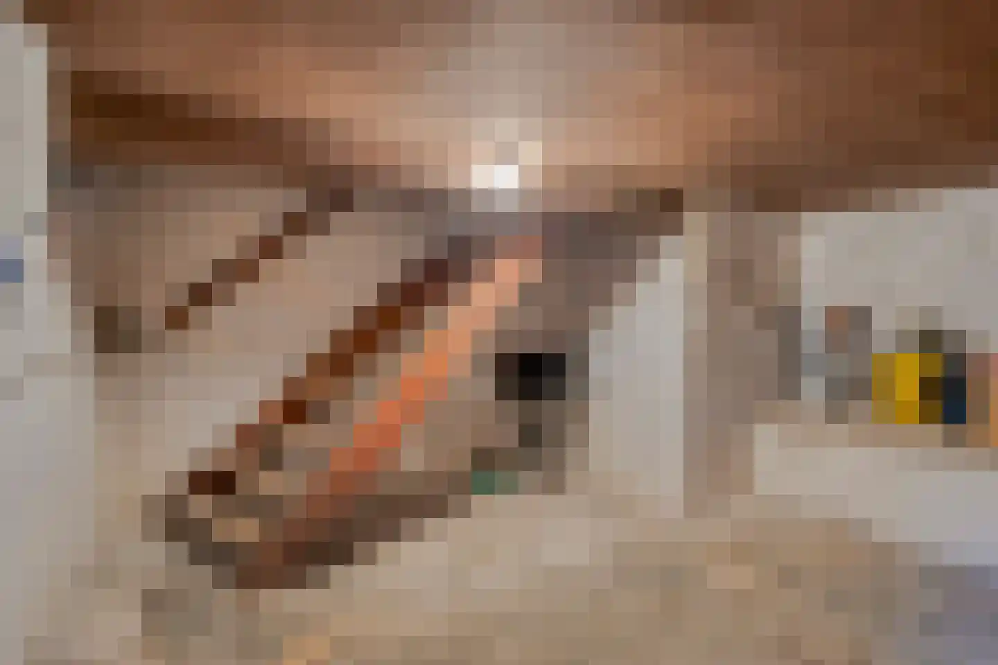 Peperstraat 20 Sevenum thumbnail 18