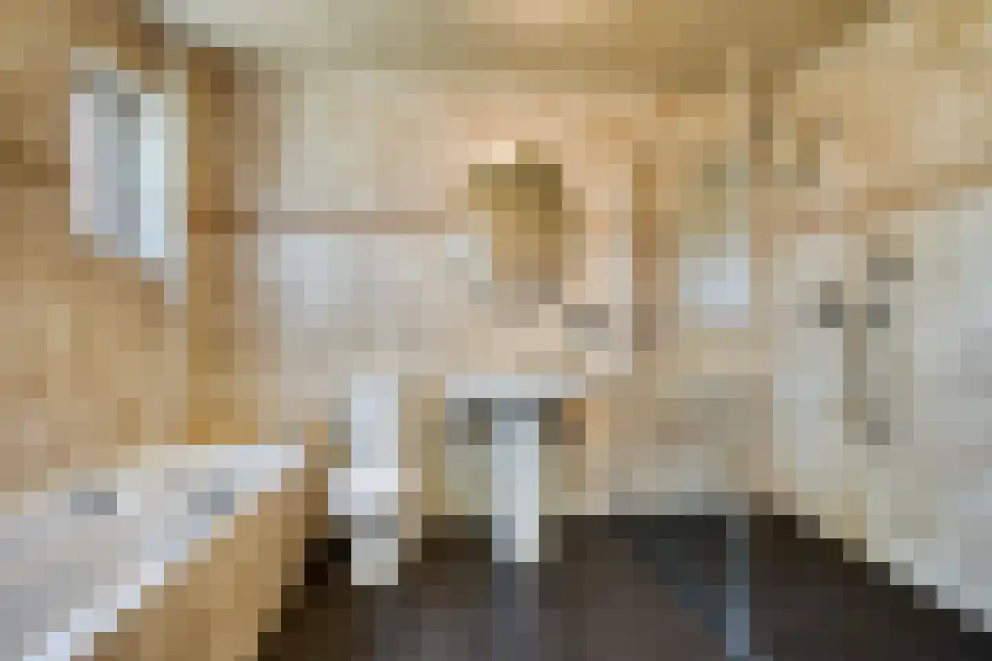 Peperstraat 20 Sevenum thumbnail 24