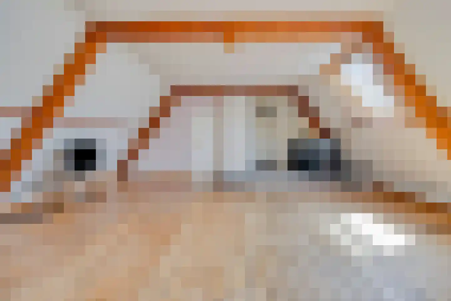 Peperstraat 20 Sevenum thumbnail 31