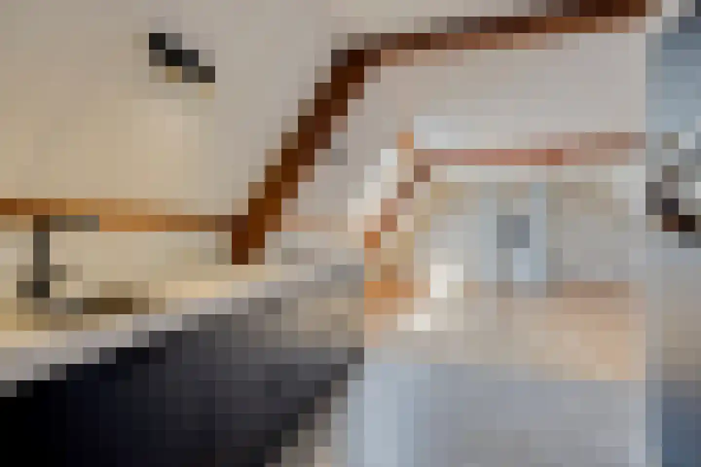 Peperstraat 20 Sevenum thumbnail 33
