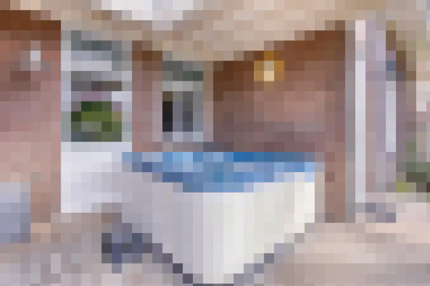 Peperstraat 20 Sevenum thumbnail 45