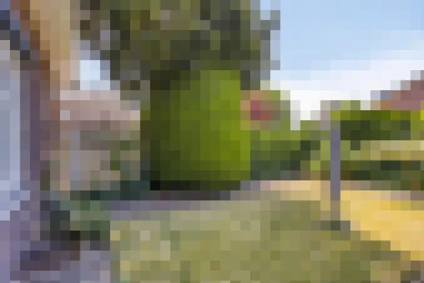 Peperstraat 20 Sevenum thumbnail 51