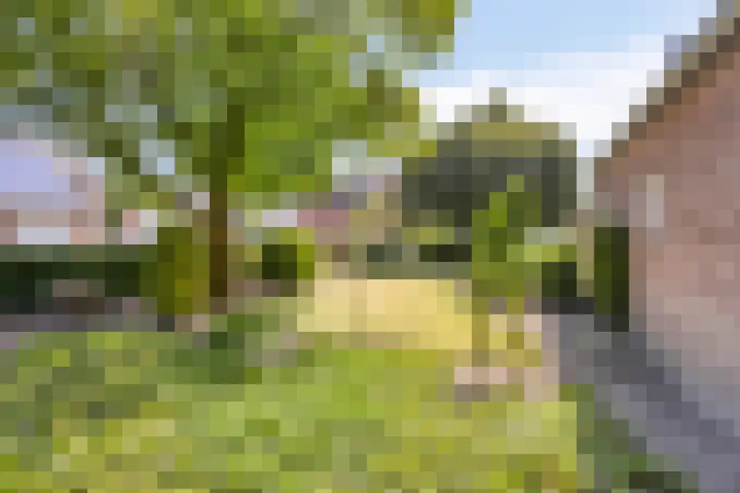 Peperstraat 20 Sevenum thumbnail 52