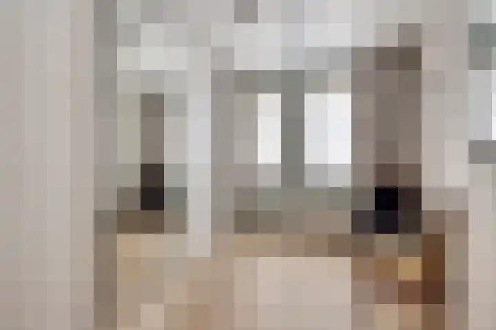 Peperstraat 21 Eindhoven thumbnail 15