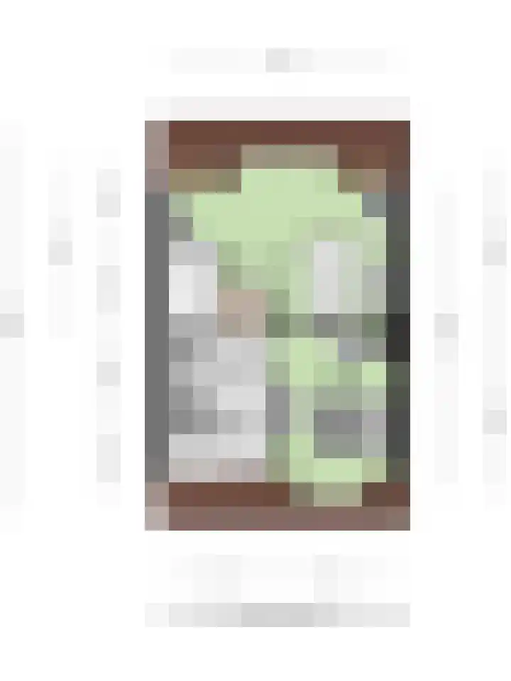 Peperstraat 21 Eindhoven thumbnail 28