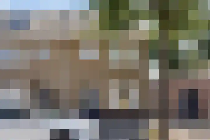 Peperstraat 21 Eindhoven thumbnail 31