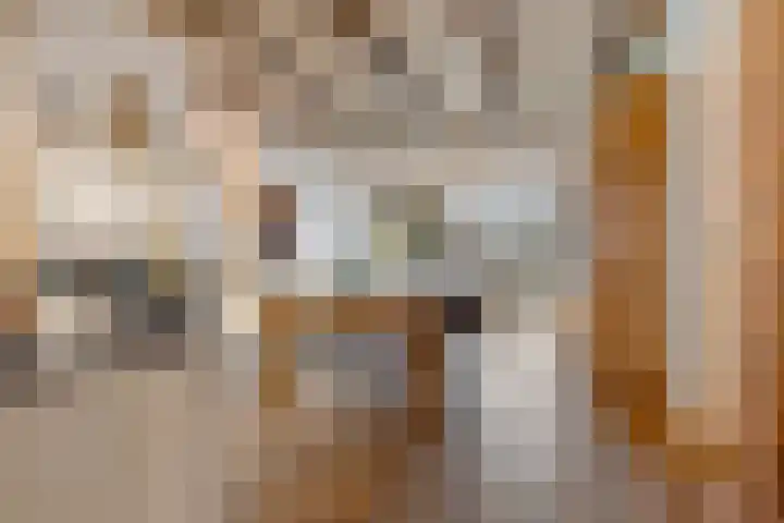 Peperstraat 22 Godlinze thumbnail 14