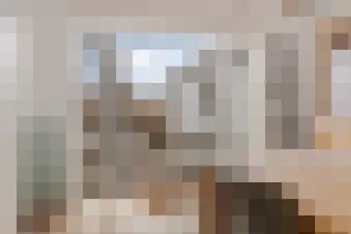 Peperstraat 22 Godlinze thumbnail 17