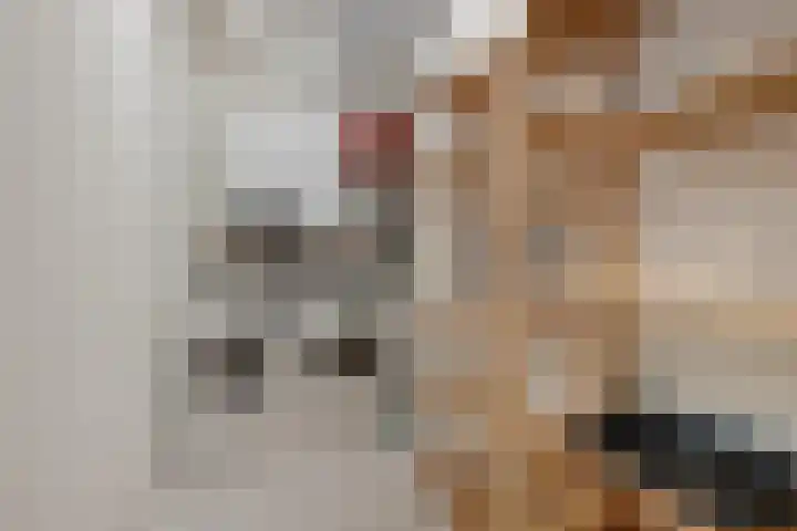Peperstraat 22 Godlinze thumbnail 23
