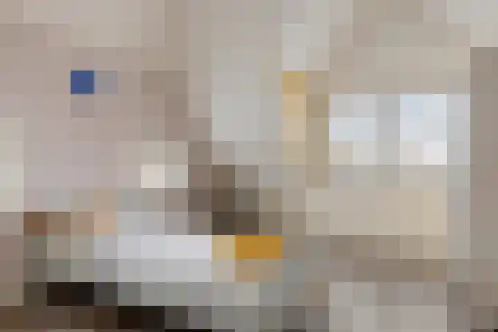 Peperstraat 22 Godlinze thumbnail 35