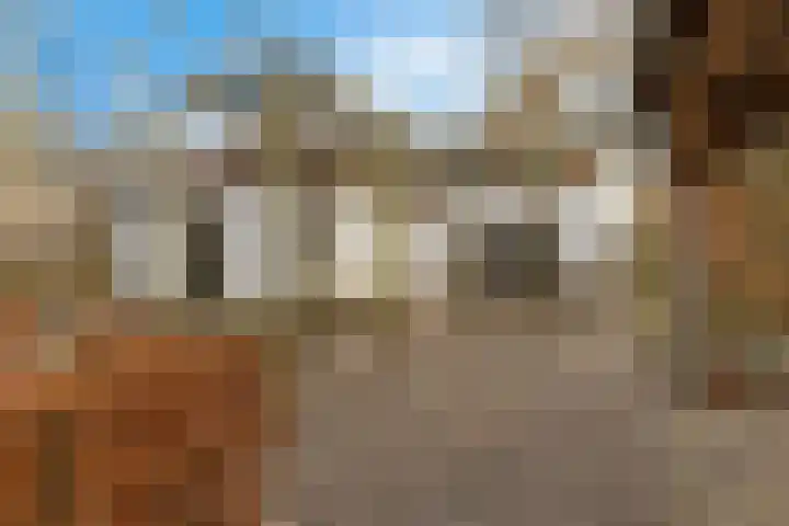 Peperstraat 22 Godlinze thumbnail 37