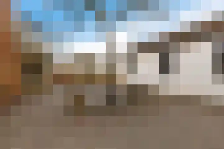 Peperstraat 22 Godlinze thumbnail 38
