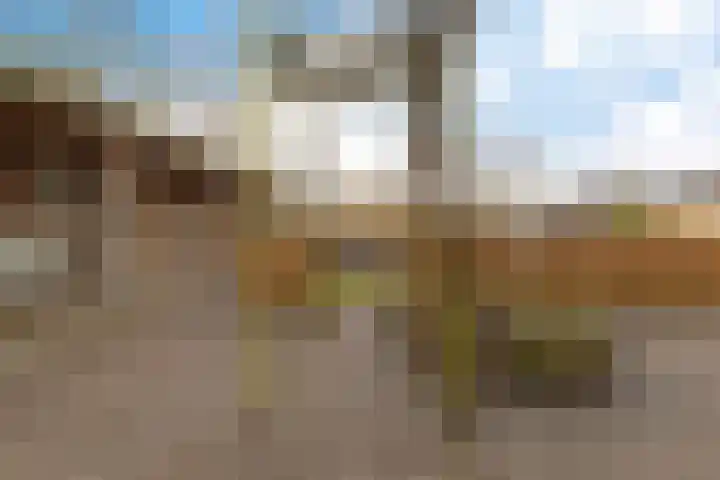 Peperstraat 22 Godlinze thumbnail 39