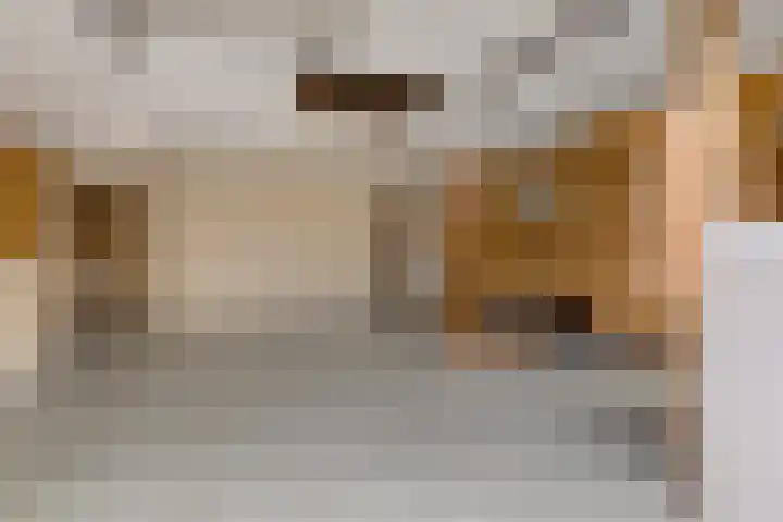 Peperstraat 22 Godlinze thumbnail 45