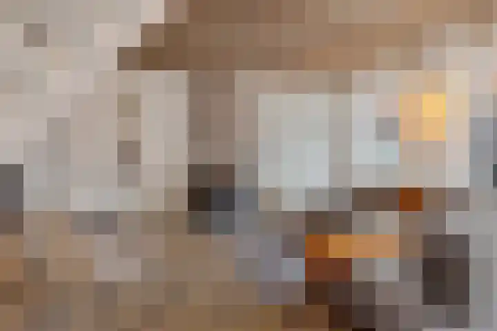 Peperstraat 22 Godlinze thumbnail 8