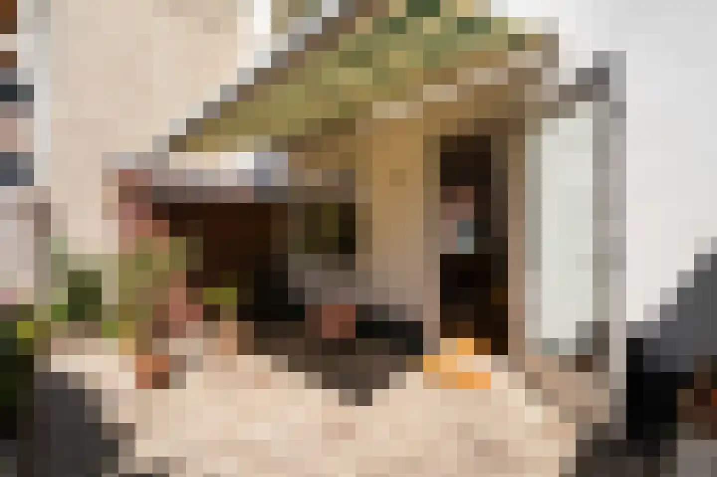 Peperstraat 22 Naarden thumbnail 11