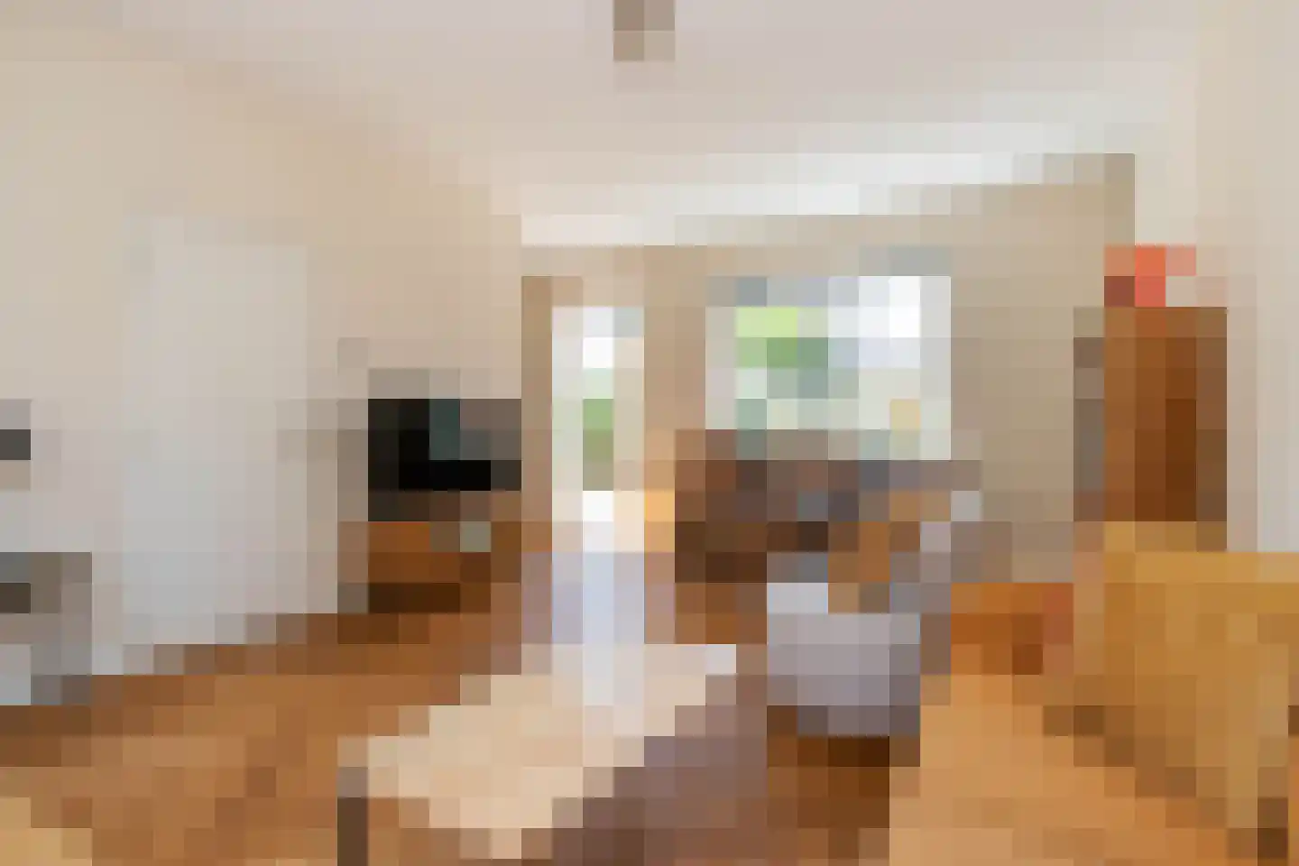 Peperstraat 22 Naarden thumbnail 4