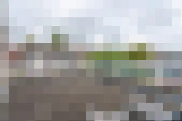 Peperstraat 23 Voorhout thumbnail 28