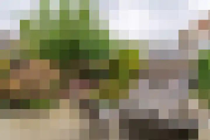 Peperstraat 23 Voorhout thumbnail 31