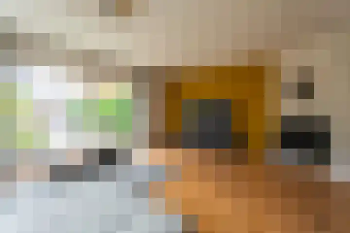 Peperstraat 23 Voorhout thumbnail 5