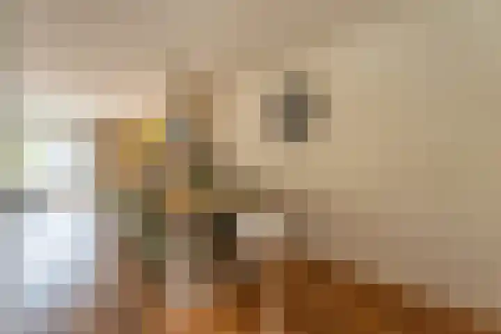 Peperstraat 23 Voorhout thumbnail 8