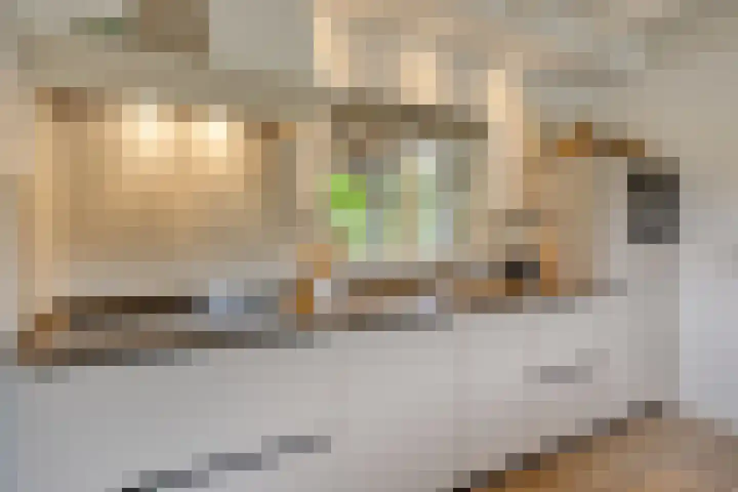 Peperstraat 25 Bruchem thumbnail 11