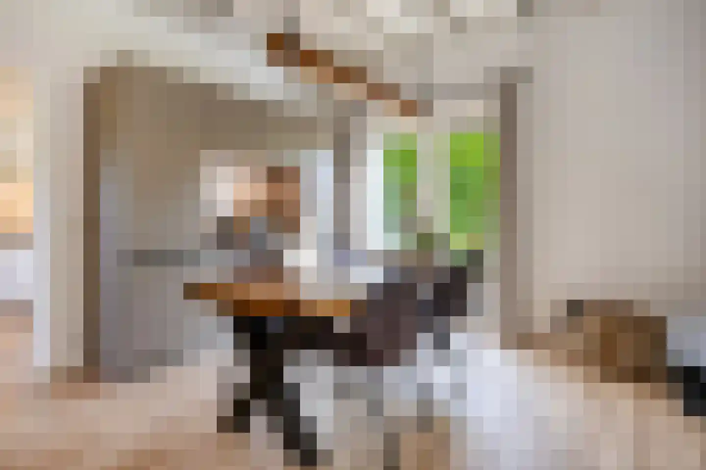 Peperstraat 25 Bruchem thumbnail 16