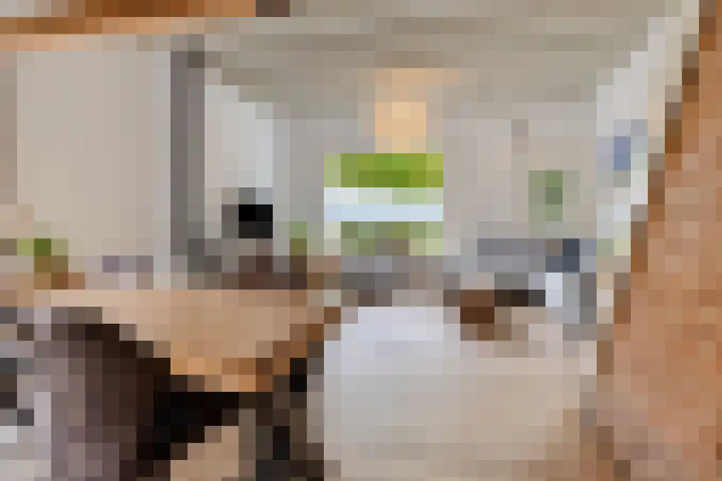 Peperstraat 25 Bruchem thumbnail 18