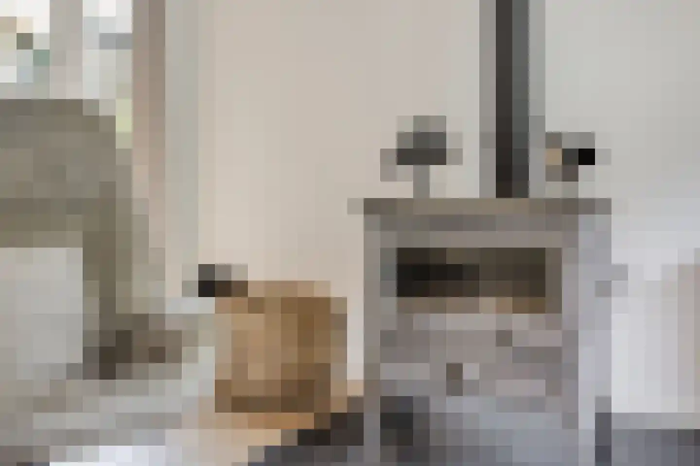 Peperstraat 25 Bruchem thumbnail 20