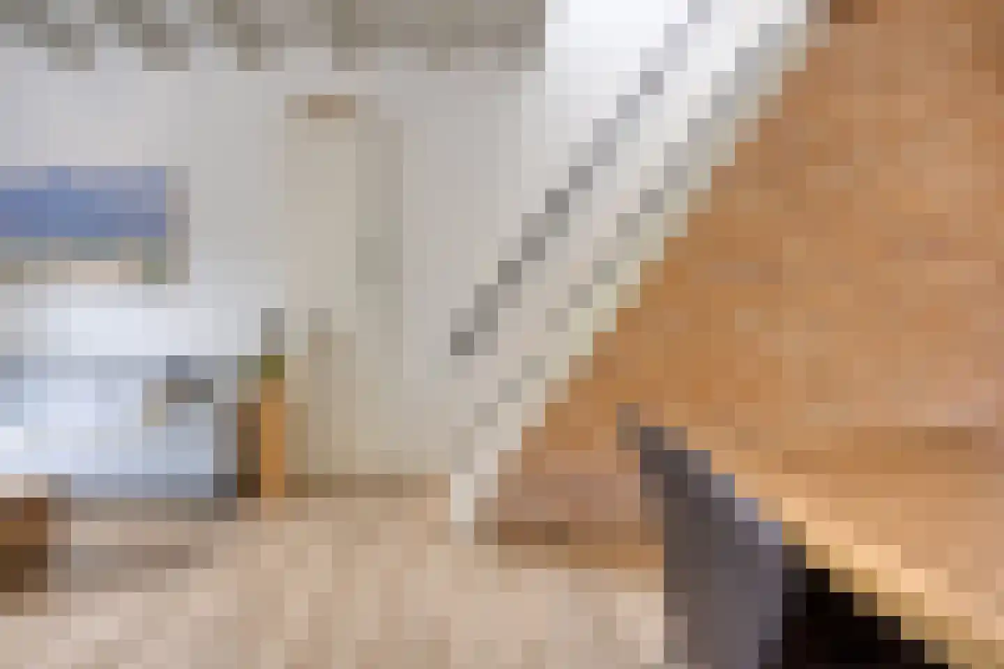 Peperstraat 25 Bruchem thumbnail 24