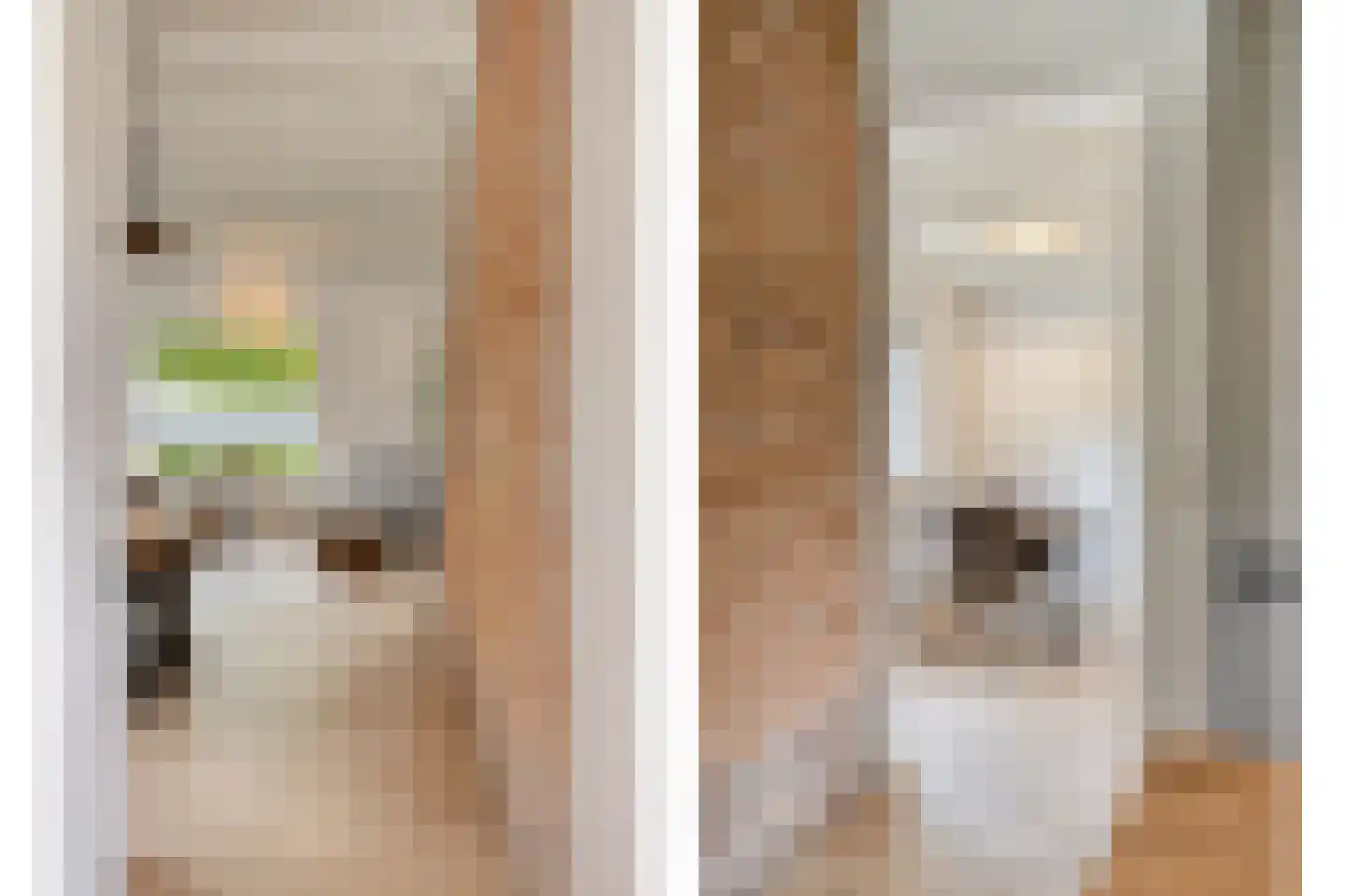 Peperstraat 25 Bruchem thumbnail 26