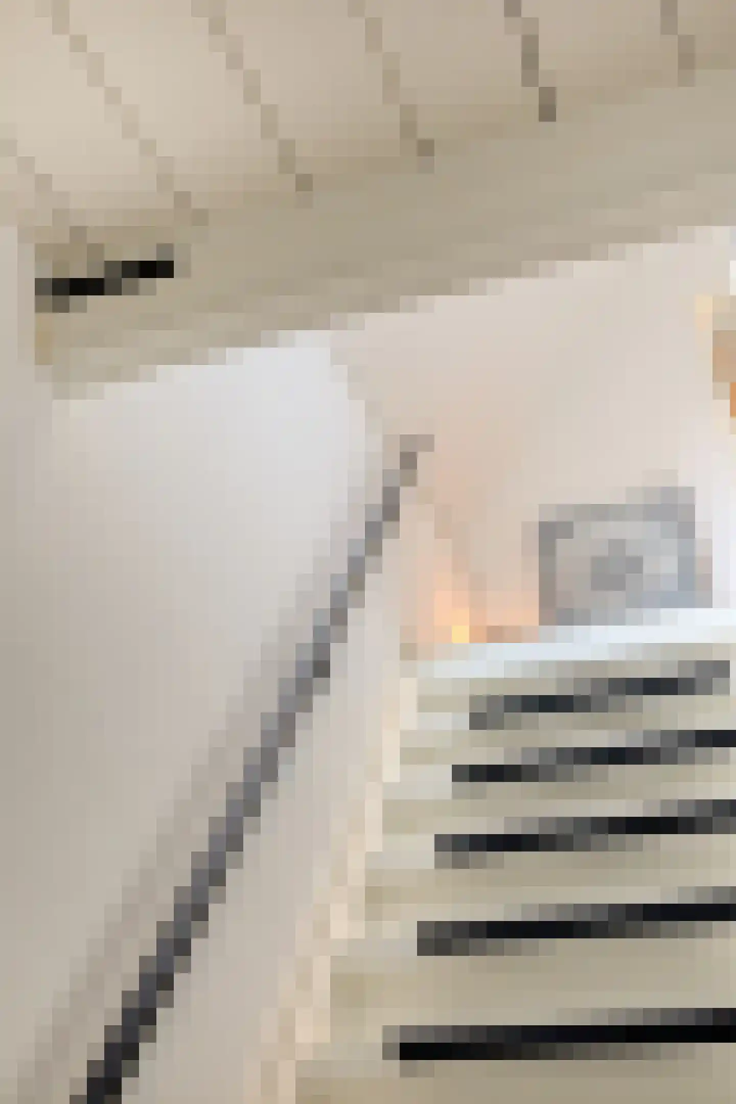 Peperstraat 25 Bruchem thumbnail 27