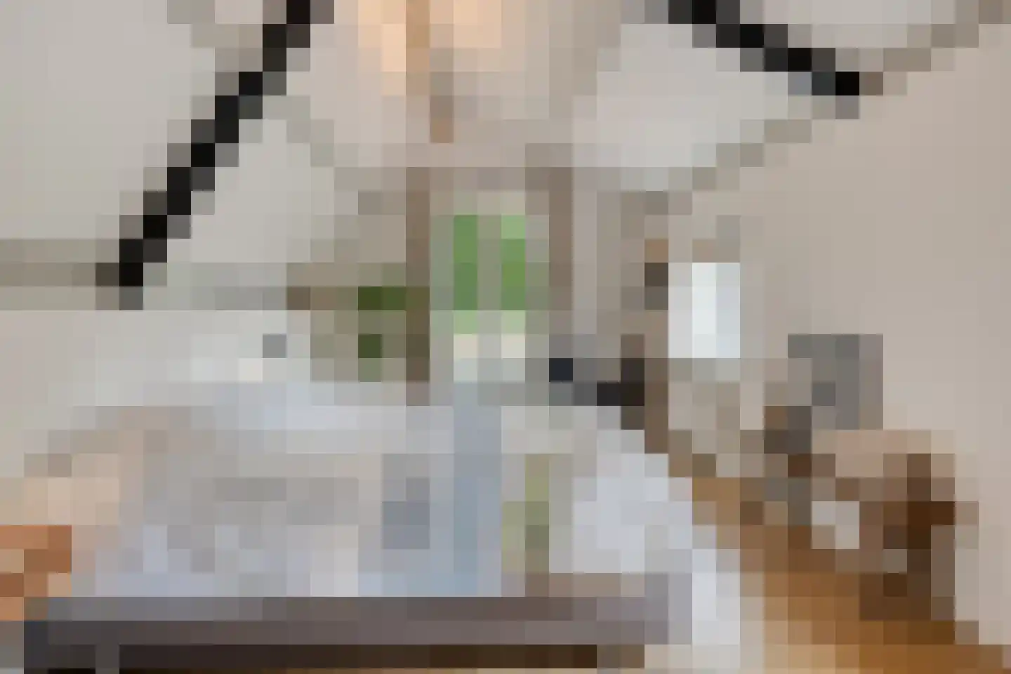 Peperstraat 25 Bruchem thumbnail 30