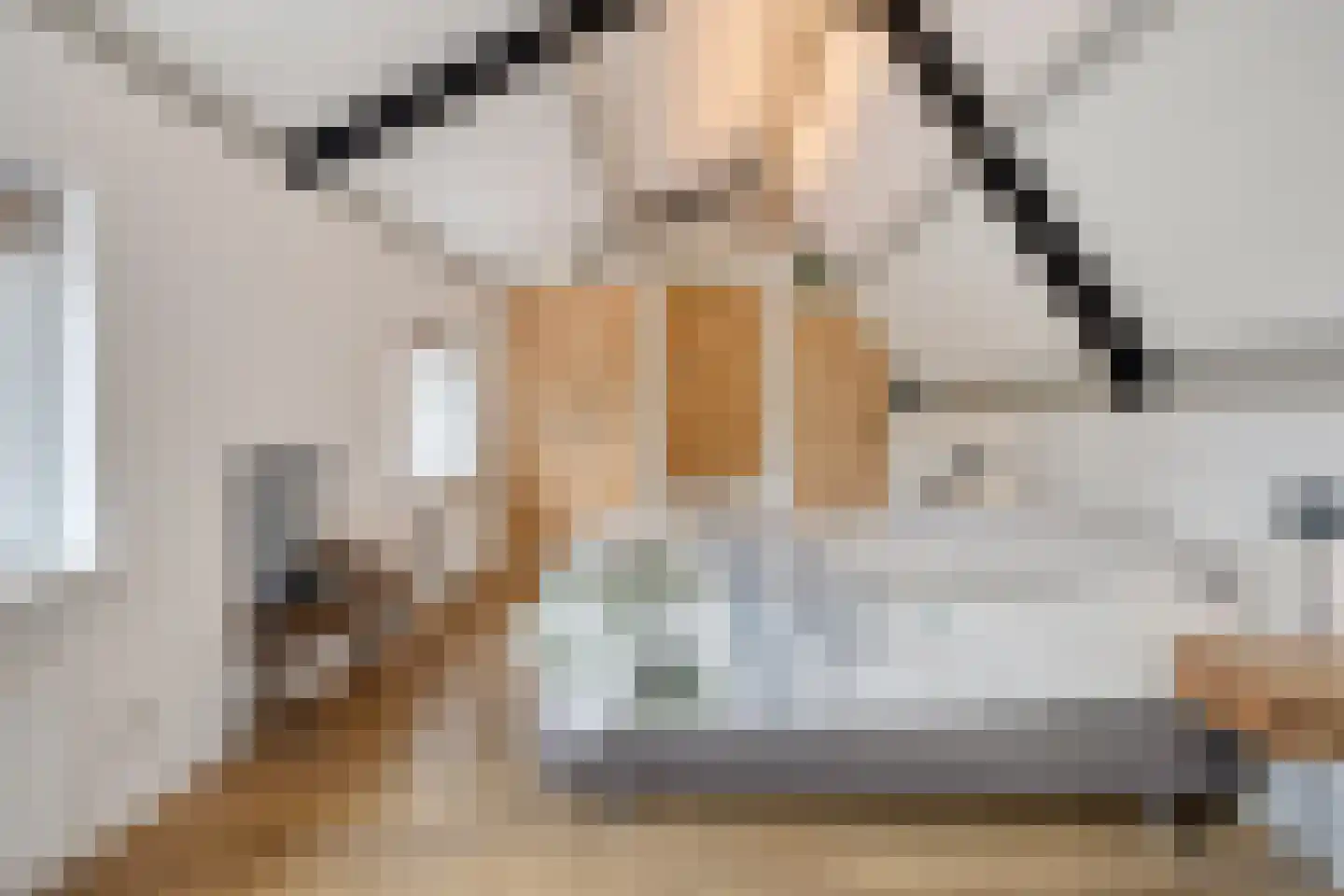 Peperstraat 25 Bruchem thumbnail 31