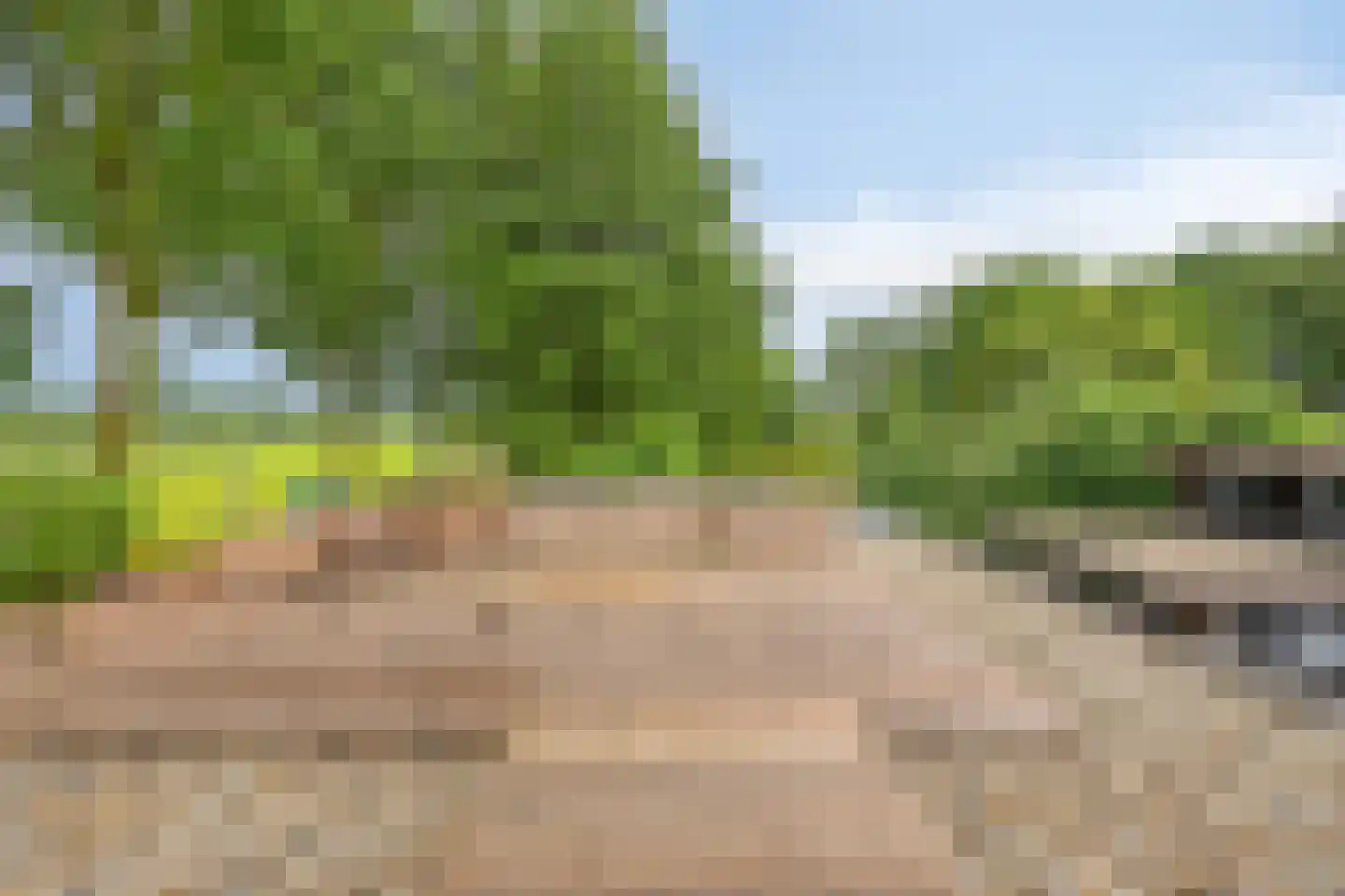 Peperstraat 25 Bruchem thumbnail 33