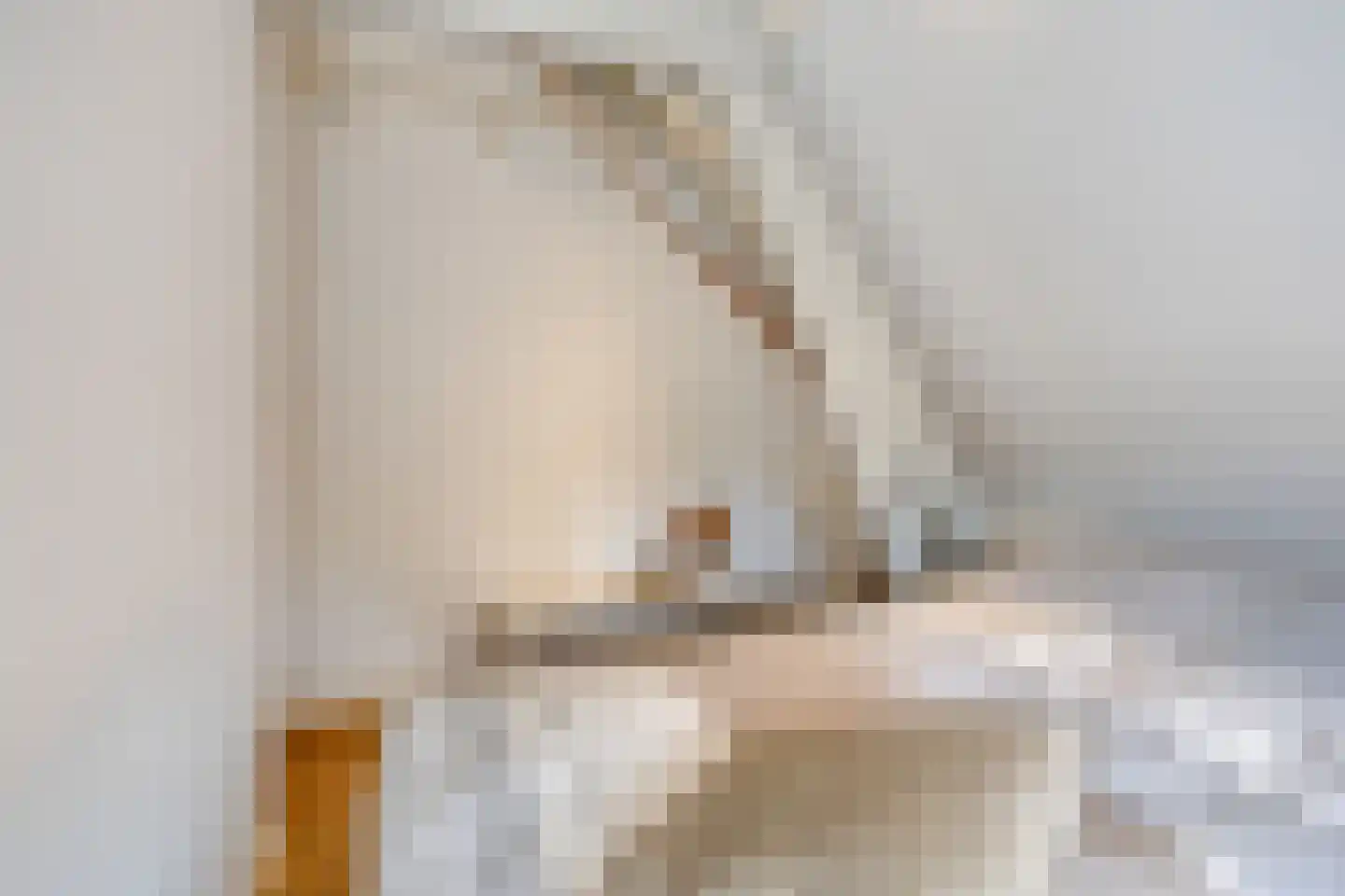 Peperstraat 25 Bruchem thumbnail 36