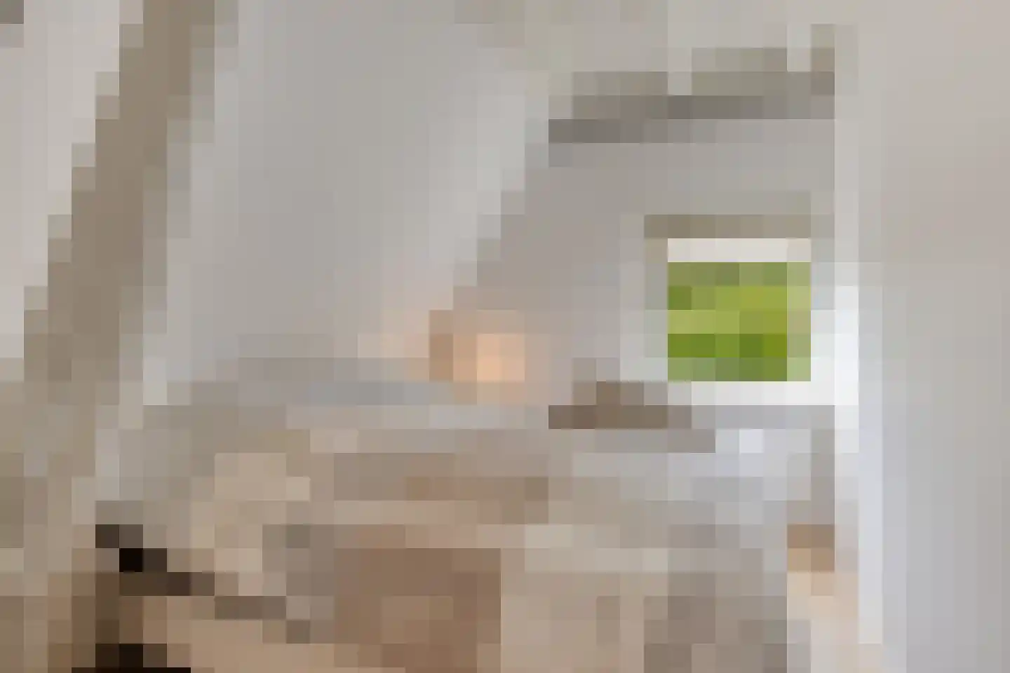 Peperstraat 25 Bruchem thumbnail 37