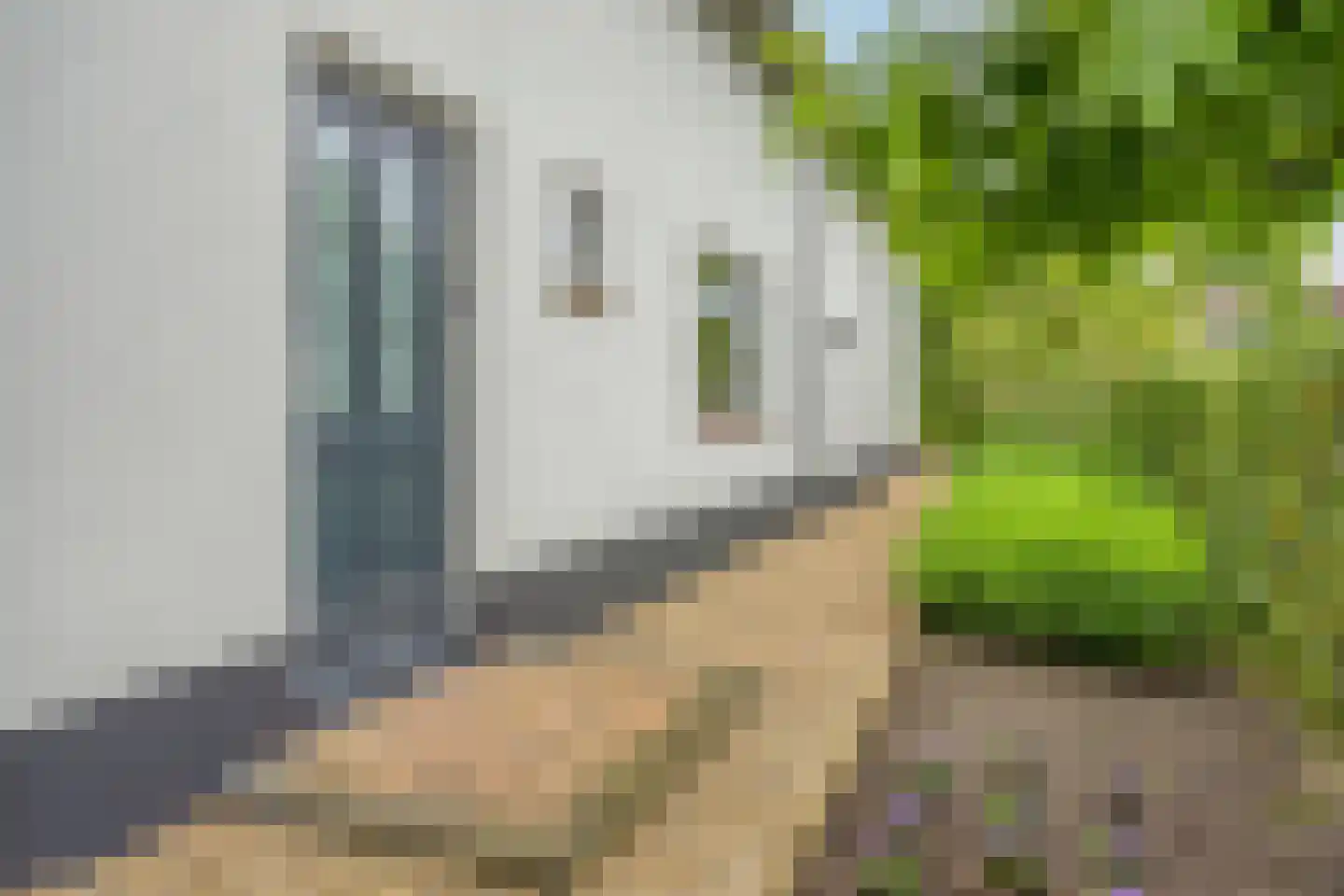 Peperstraat 25 Bruchem thumbnail 4