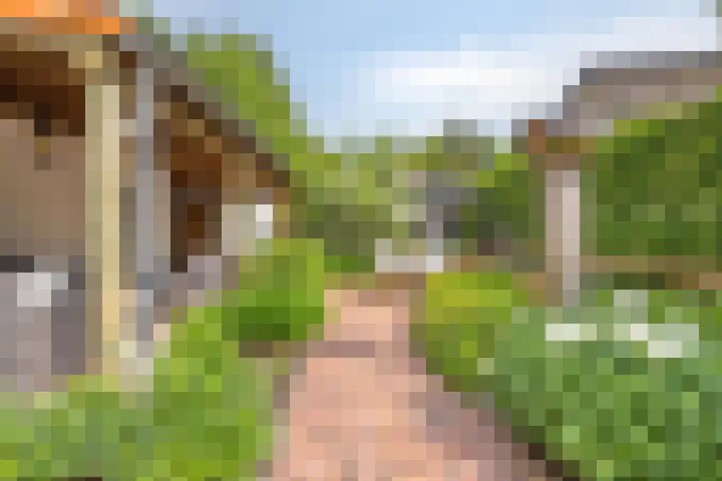 Peperstraat 25 Bruchem thumbnail 48