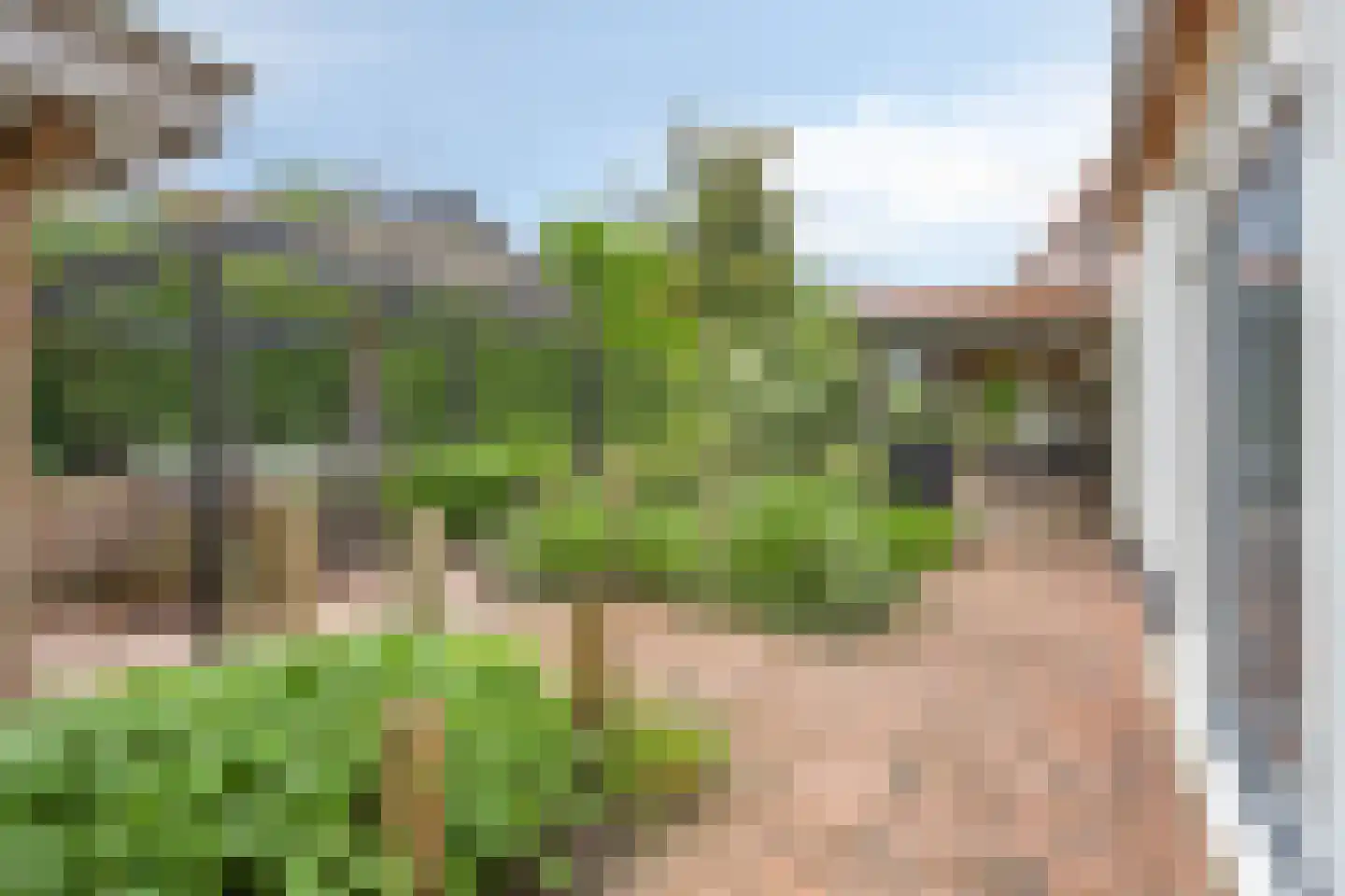 Peperstraat 25 Bruchem thumbnail 57