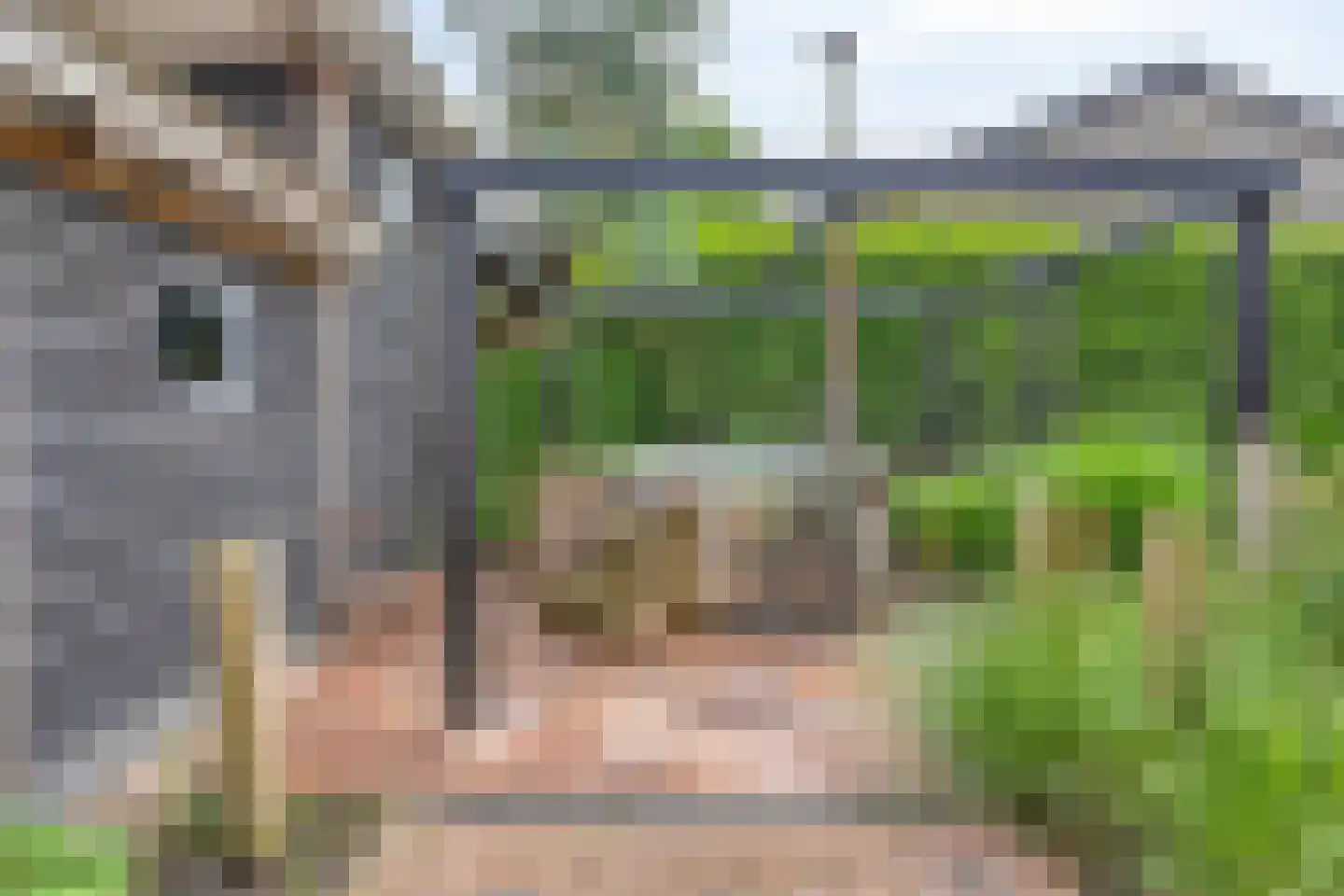 Peperstraat 25 Bruchem thumbnail 58