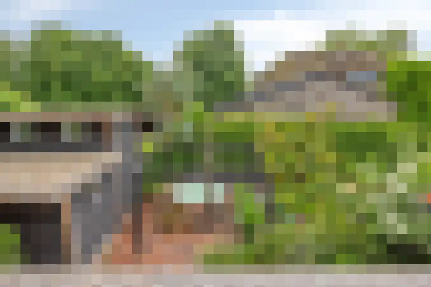 Peperstraat 25 Bruchem thumbnail 60